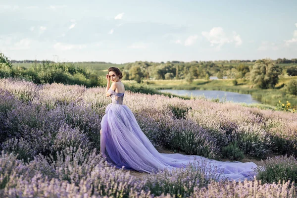 Bela Jovem Mulher Vestido Roxo Longo Posando Campo Lavanda Comprimento — Fotografia de Stock