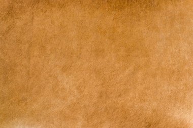 Yaşlı sarı alçı duvar zemin, tam çerçeve