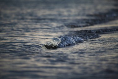 Deniz mavisi güzel yakından yaratıcı bulanıklık dalgalar 