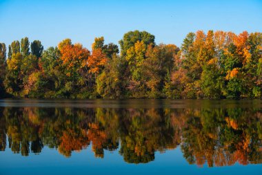 Altın sonbahar su yansıma gün açık renk