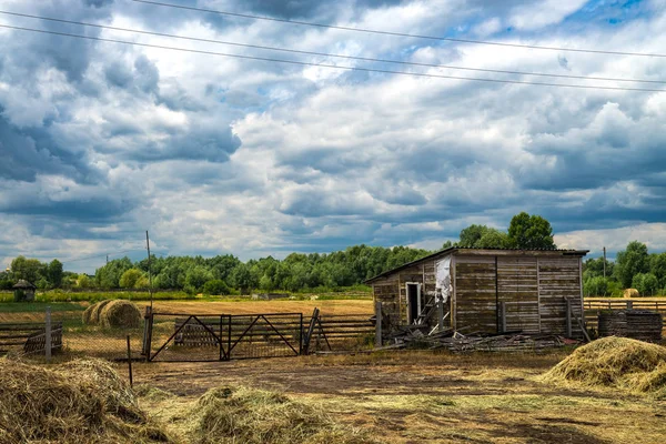 Abandoned Farm Summer Nature Village Field Cloud Day — Stock Photo, Image