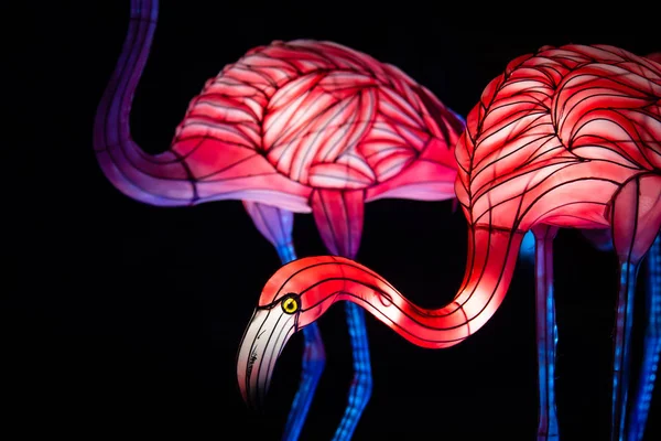 Flamingo chinese lantern show color art night — Stock Photo, Image