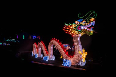 Çince ejderha fener ışıkları renk sanat göster