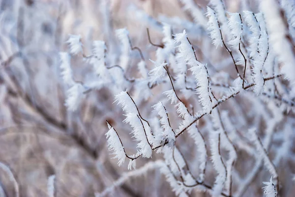 Frost rama color invierno abstracto naturaleza hielo — Foto de Stock