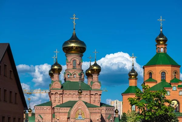 Holosiivskyi mens monasterio Ucrania Kiev religión cristianismo — Foto de Stock