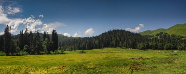 Avadhara Abhazya Gürcistan'ın alp çayırları doğa dağlarını gezdirir 