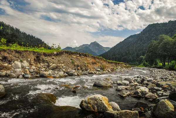 Prairies alpines d'Avadhara Abkhazie Géorgie Voyage nature montagnes — Photo