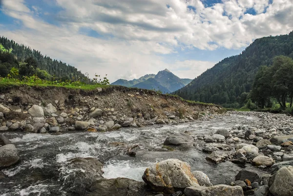 Prati Alpini Avadhara Abkhazia Georgia Viaggi Natura Montagne Vacanze Estive — Foto Stock