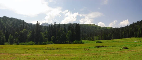 Prairies Alpines Avadhara Abkhazie Géorgie Voyage Nature Montagnes Vacances Été — Photo