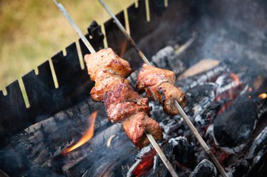Ahşap kömür ızgara et gıda taze sağlık beacon domuz üzerinde barbekü shashlik yapma 