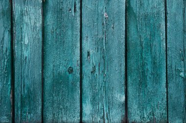 Güzel renkli ahşap kapı doku yeşil soyut çizgiler 