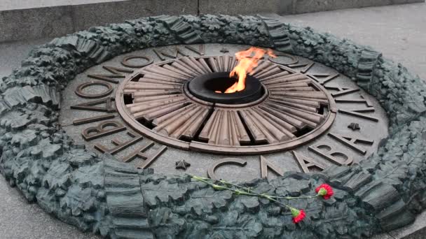 Fiamma Monumento Soldato Sconosciuto Kiev Ucraina Video — Video Stock