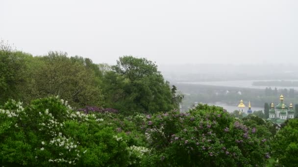 Primavera Kiev Panorama Bajo Lluvia Iglesia Floreciendo Lila Ucrania Video — Vídeos de Stock