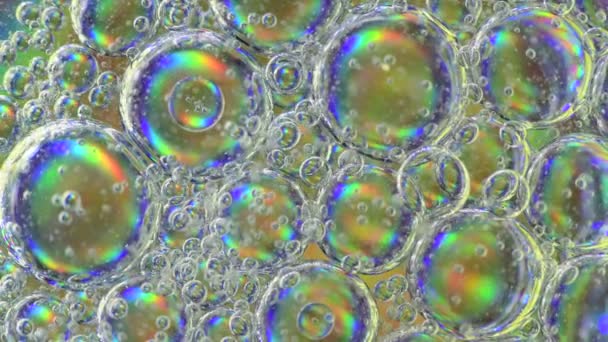 Bonitas Burbujas Color Sobre Fondo Blanco Abstracto Macro Micro Video — Vídeos de Stock