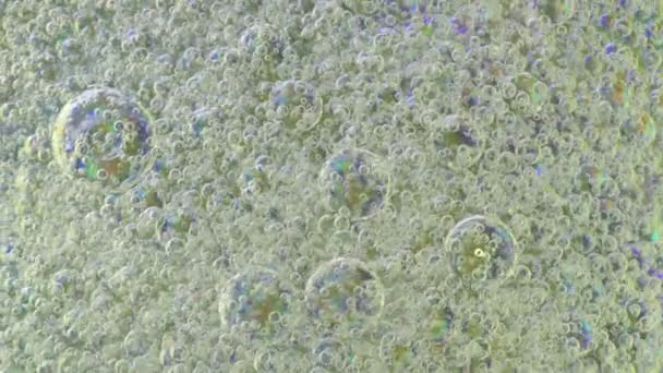 Belles bulles de couleur sur fond blanc abstrait macro micro 4k vidéo 