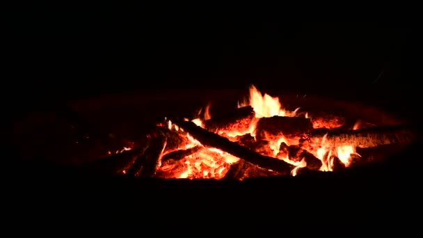Bonita Hoguera Fuego Leña Naturaleza Cerca Video — Vídeo de stock