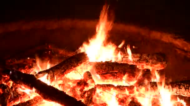 Bonita Hoguera Fuego Leña Naturaleza Cerca Video — Vídeo de stock