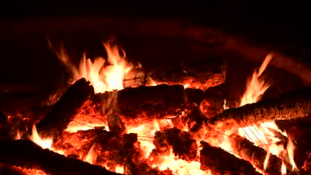 Bonita Hoguera Fuego Leña Naturaleza Cerca Video — Vídeo de stock