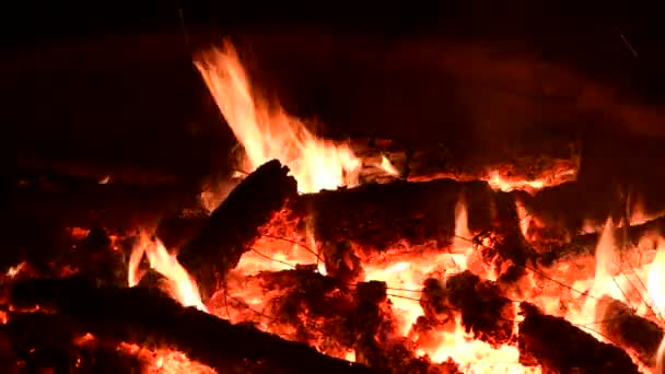 Agradável Fogueira Madeira Fogo Natureza Close Vídeo — Vídeo de Stock