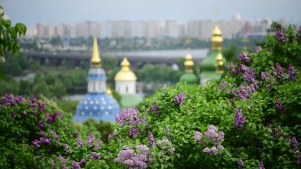 Våren Kiev Panorama Efter Regnet Kyrkan Blommande Lila Ukraina Video — Stockvideo