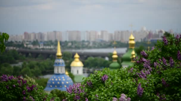 Primavera Kiev Panorama Después Lluvia Iglesia Floreciendo Lila Ucrania Video — Vídeo de stock