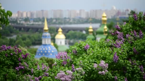 Lente Kiev Panorama Regen Kerk Bloeiende Lila Oekraïne Video — Stockvideo