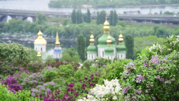 Bahar Kiev Panorama Sonra Yağmur Kilise Lila Ukrayna Video Çiçeklenme — Stok video