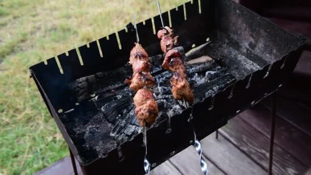 Membuat Shashlik Kebab Georgian Budaya Nasional Daging Barbeq Merokok Video — Stok Video