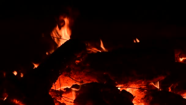 Bonita Hoguera Fuego Leña Naturaleza Cerca Video — Vídeos de Stock