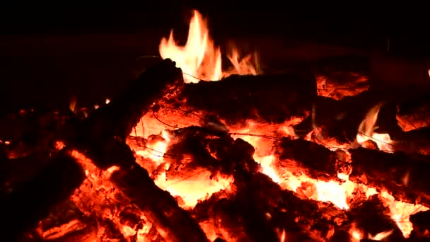 Bonita Hoguera Fuego Leña Naturaleza Cerca Video — Vídeos de Stock