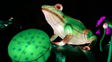 Kurbağalar çin fener göstermek renk sanat gece ışıkları Kiev Ukrayna Mart 2019