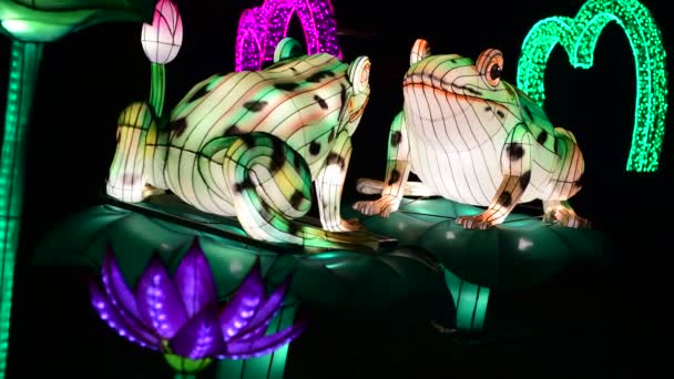 青蛙中国灯笼显示彩色艺术夜灯基辅乌克兰游行2019年 — 图库视频影像