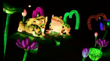 Kurbağalar çin fener göstermek renk sanat gece ışıkları Kiev Ukrayna Mart 2019