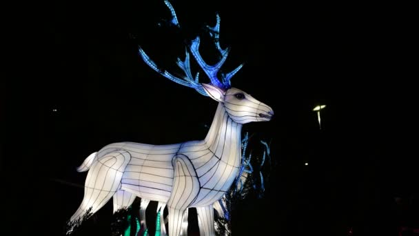Deers Chiński Latarnia Pokazać Kolor Sztuki Światła Nocne Kijów Ukraina — Wideo stockowe