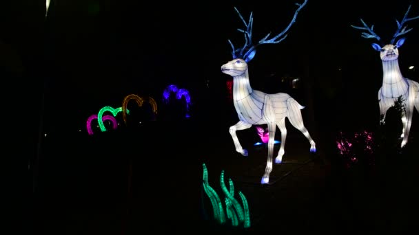 鹿中国灯笼显示彩色艺术夜灯基辅乌克兰游行2019年 — 图库视频影像