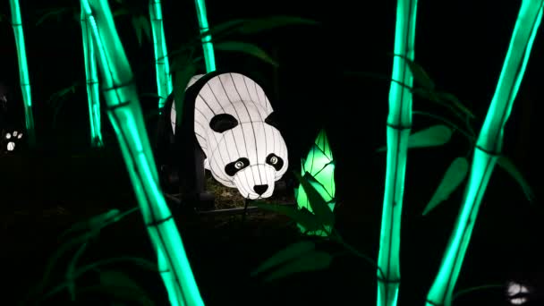 Panda Bears Chinese Lantern Show Color Art Night Lights Kiev — Stock Video