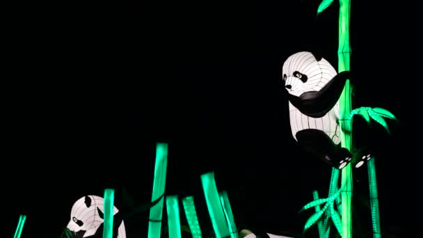 Panda Φέρει Κινέζικο Φανάρι Δείχνουν Χρώματα Τέχνης Νυχτερινή Φως Κίεβο — Αρχείο Βίντεο