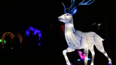Deers çin fener göstermek renk sanat gece ışıkları Kiev Ukrayna Mart 2019