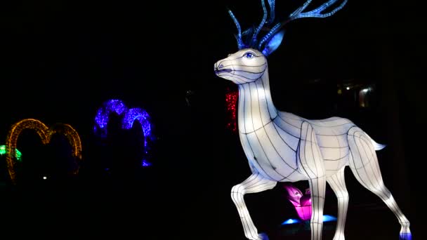 Deers Kinesiska Lantern Show Färg Konst Nattlampor Kiev Ukraina Mars — Stockvideo