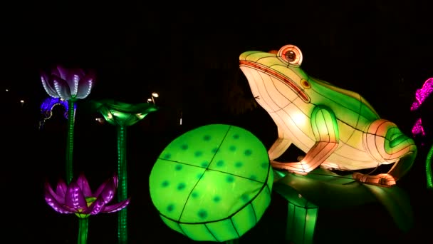 Kurbağalar Çin Fener Göstermek Renk Sanat Gece Işıkları Kiev Ukrayna — Stok video
