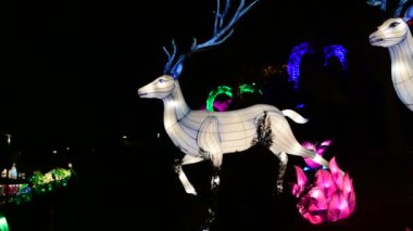 Deers çin fener göstermek renk sanat gece ışıkları Kiev Ukrayna Mart 2019