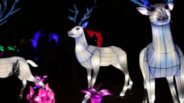 Deers çin fener göstermek renk sanat gece ışıkları Kiev Ukrayna Mart 2019