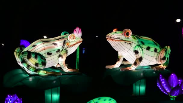 Frogs Lanterna Chinesa Mostrar Cor Arte Luzes Noturnas Kiev Ucrânia — Vídeo de Stock