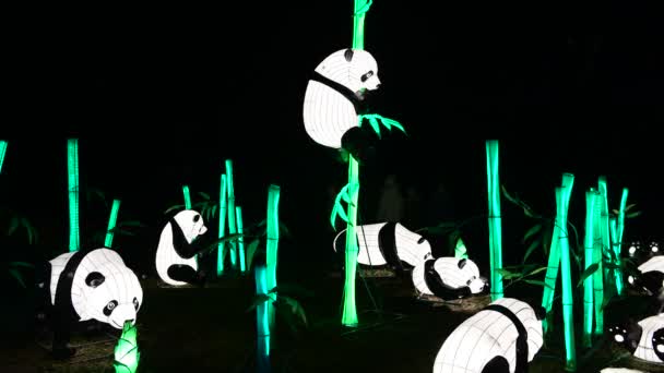 熊猫熊中国灯笼显示彩色艺术夜灯基辅乌克兰游行2019年 — 图库视频影像