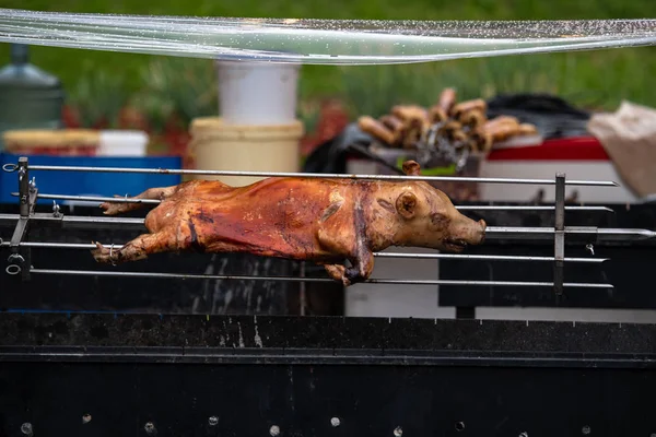 Porco Chupando Uma Carne Cospe Saúde Comida Fogo Churrasco Gordo — Fotografia de Stock
