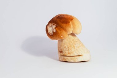 Boletus edulis beyaz arka planda izole edildi. Gıda gurmesi Doğa Sağlığı