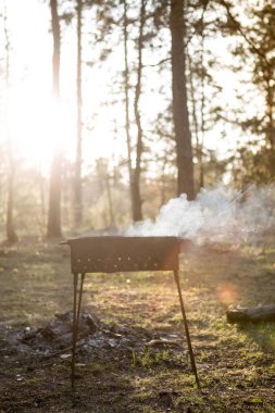 Barbekü ormanın içinde. Günbatımı mangal