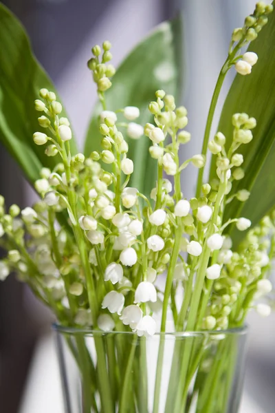 A bouquet of white flowers from lilies of the valley with green leaves standing in a glass on the windowsill — Stock Photo, Image