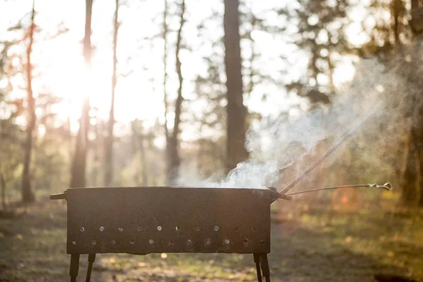 Barbacoa en el bosque. Barbacoa al atardecer Imágenes De Stock Sin Royalties Gratis