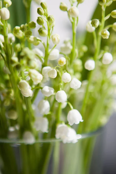 Bouquet of white flowers from lilies of the valley with green leaves — Stock Photo, Image